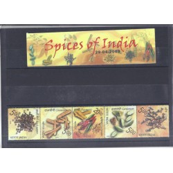 Spices of India Presentation Pack