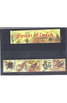 Spices of India Presentation Pack