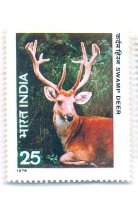 PHILA699 INDIA 1976 INDIAN WILD LIFE 25p SWAMP DEER MNH