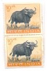 PHILA388 INDIA 1963 PAIR MINT STAMP OF WILD LIFE PRESERVATION GAUR 10np MNH