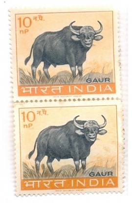 PHILA388 INDIA 1963 PAIR MINT STAMP OF WILD LIFE PRESERVATION GAUR 10np MNH