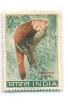 PHILA389 INDIA 1963 SINGLE MINT STAMP OF WILD LIFE HIMALAYAN PANDA 15np MNH