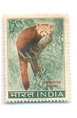 PHILA389 INDIA 1963 SINGLE MINT STAMP OF WILD LIFE HIMALAYAN PANDA 15np MNH